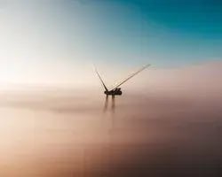 carbon-neutrality_wind-of-change