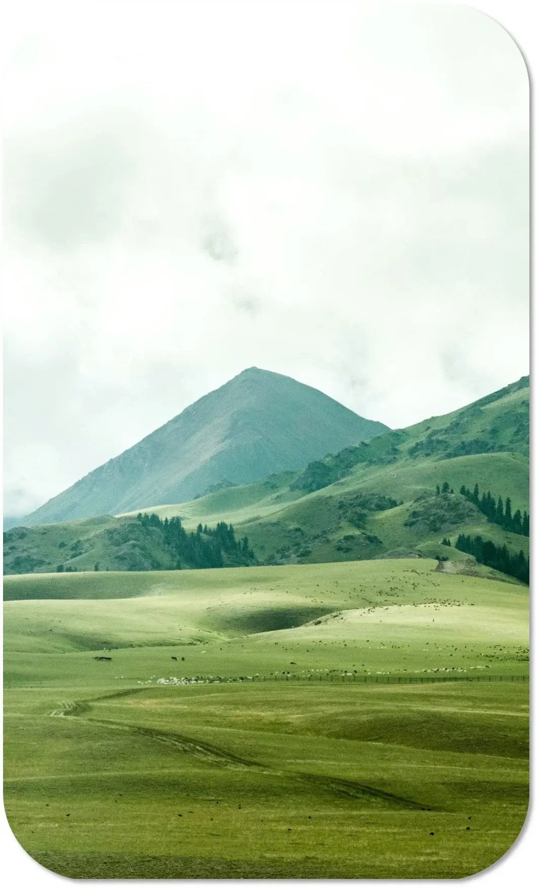 sustainability_BKG_carbon-emission