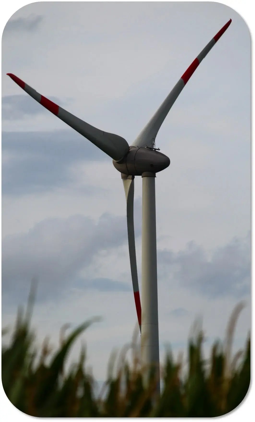 sustainability_BKG_renewable-energy