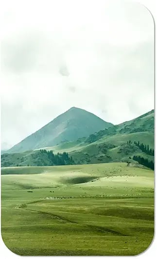 sustainability_BKG_carbon-emission2