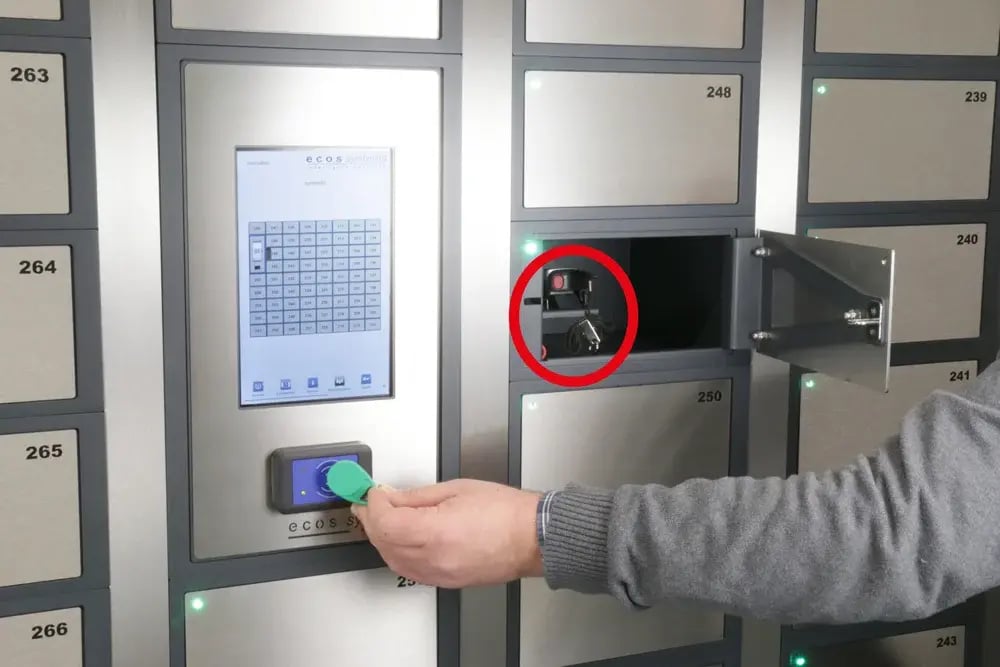 DE-Vitos-Hadamar-step2