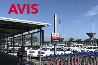 ecossystems-avis-sudafrika_322