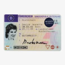 ecossystems_terminal_führerscheinkontrolle_als_authentifizierung