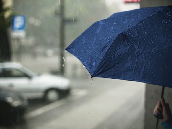 ecossystems-unserevision-sicherer